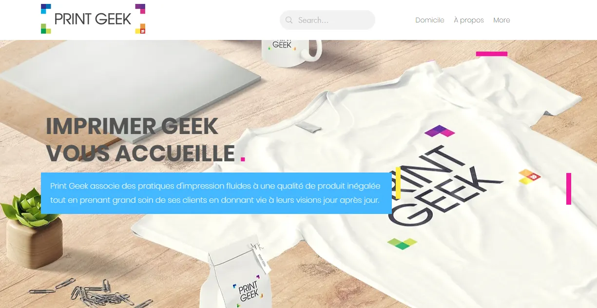 Print Geek